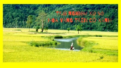 Xu hướng Mua váy hoa mà không biết 4: Hotspot Matrix tiết lộ bí quyết video viral_Đào tạo kỹ năng thuyết trình
