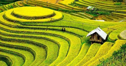 Câu chuyện cậu bé họ Huỳnh ở Uông Bí và hành trình đổi đời cùng Hotspot Matrix_dịch vụ chỉnh sửa video cho doanh nghiệp nhỏ
